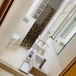 Suite Malaga